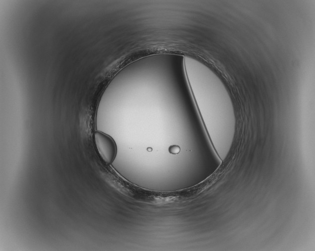 X0000116420450200912081203