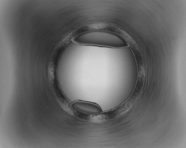 X0000116420452200912081203