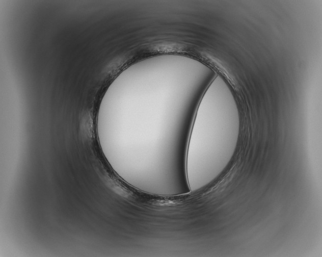 X0000116420453200912081203