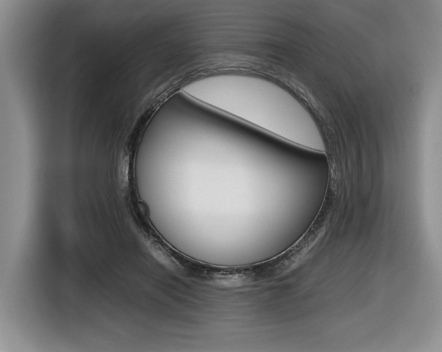 X0000116420454200912081203