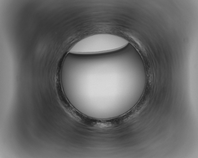 X0000116420455200912081203