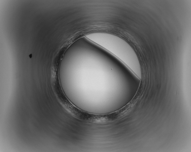 X0000116420456200912081203