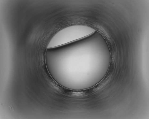 X0000116420457200912081203