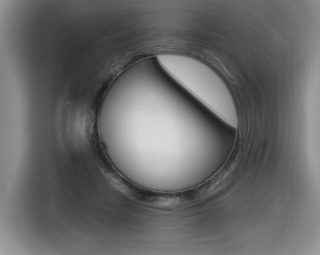 X0000116420458200912081203