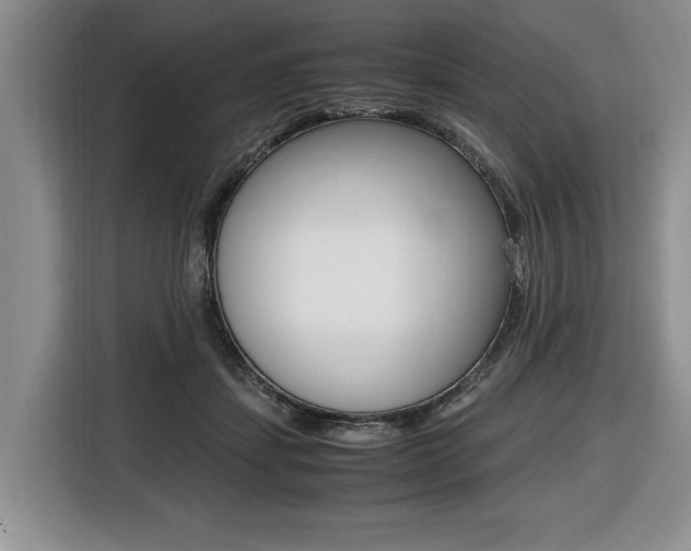 X0000116420459200912081203