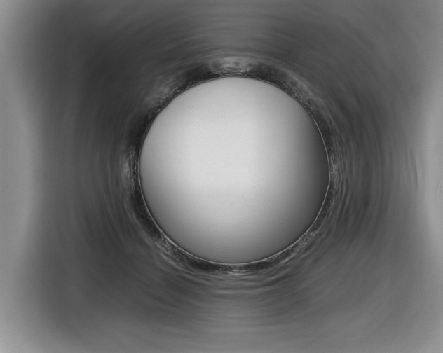 X0000116420460200912081203