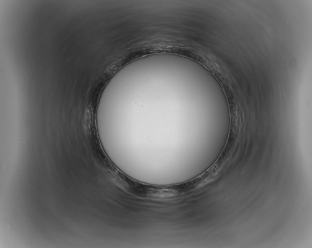 X0000116420463200912081203