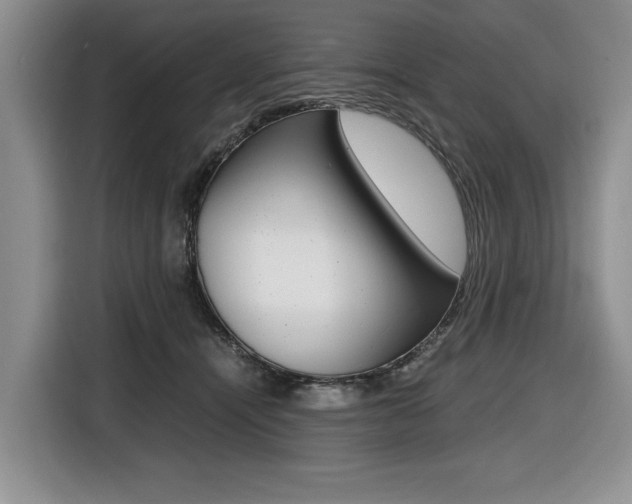 X0000116420464200912081203