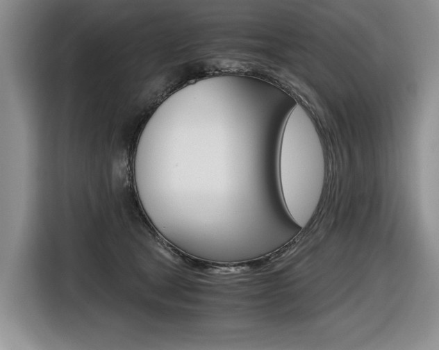 X0000116420465200912081203