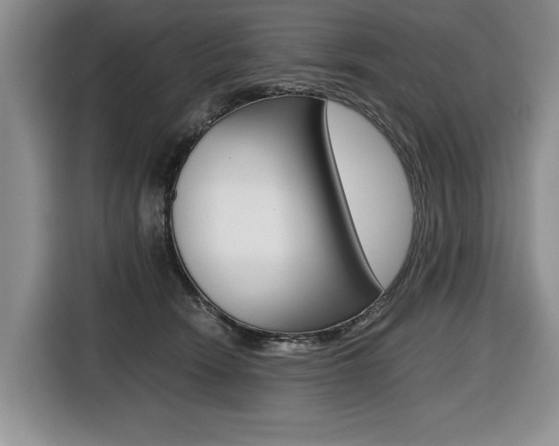 X0000116420466200912081203