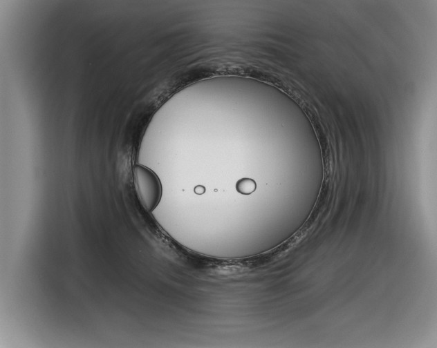 X0000116420468200912081203
