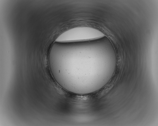 X0000116420469200912081203