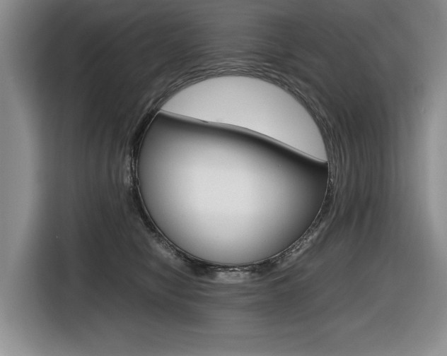 X0000116420470200912081204