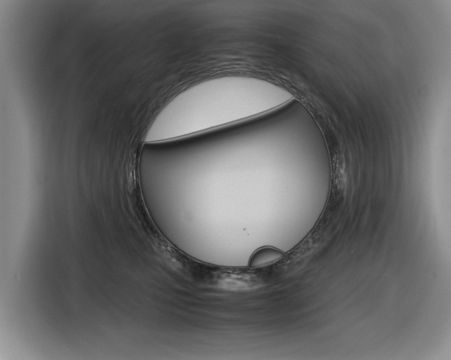 X0000116420471200912081204
