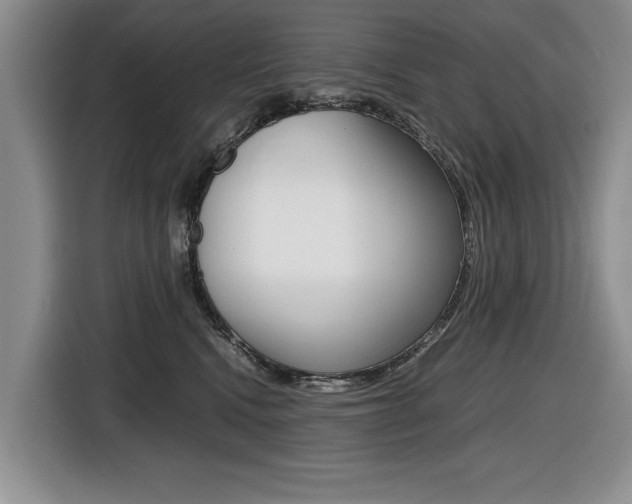 X0000116420472200912081204