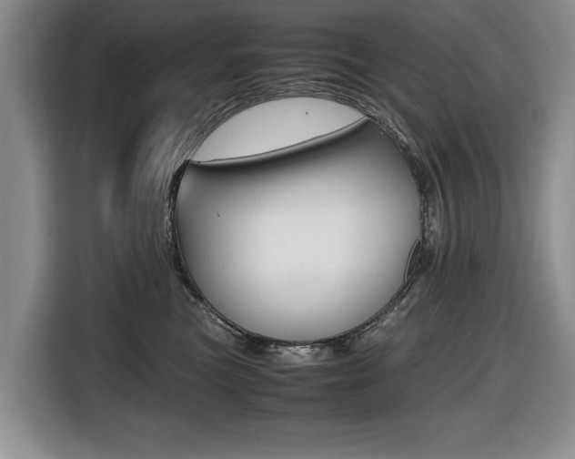 X0000116420473200912081204