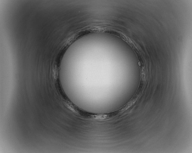 X0000116420474200912081204