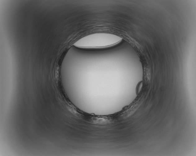X0000116420475200912081204