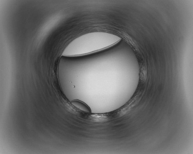 X0000116420477200912081204