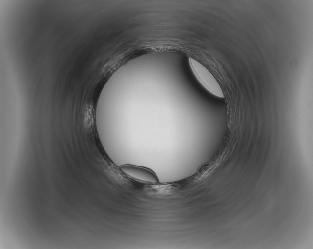 X0000116420478200912081204