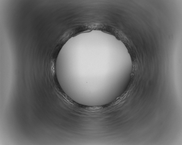 X0000116420479200912081204