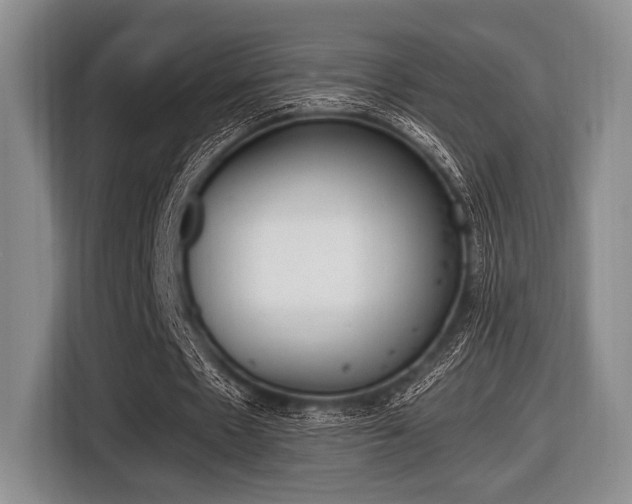 X0000116420481200912081203