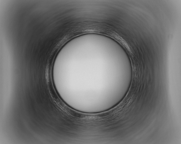 X0000116420482200912081203