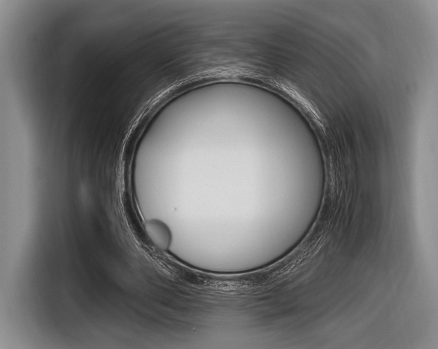 X0000116420486200912081203