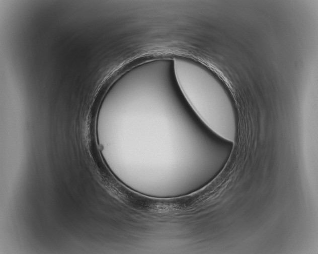 X0000116420487200912081203