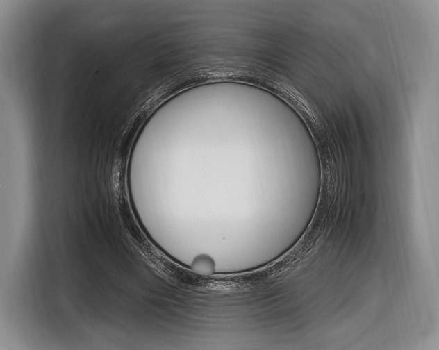 X0000116420490200912081203