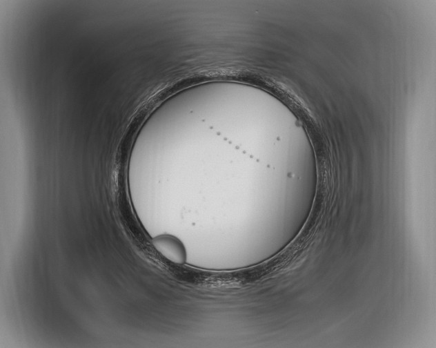 X0000116420491200912081203