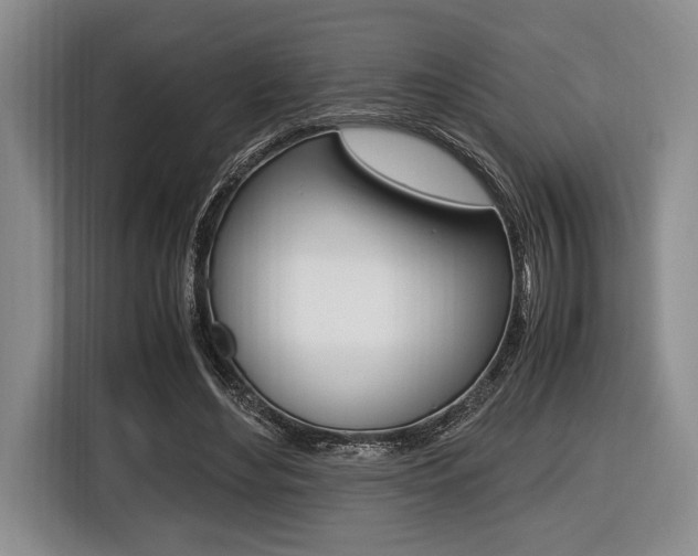 X0000116420492200912081203