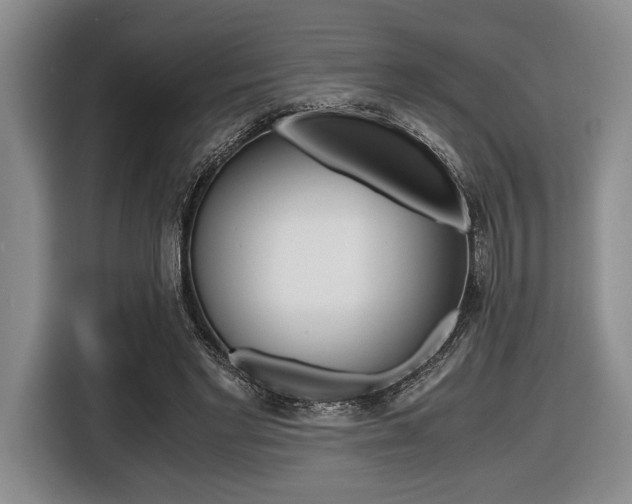 X0000116420493200912081203