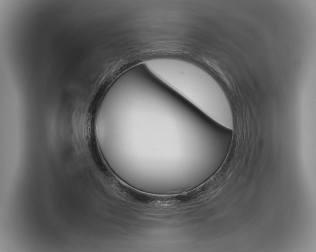 X0000116420495200912081203