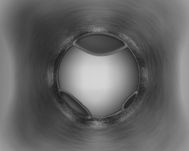 X0000116420496200912081203