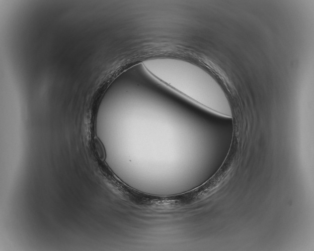 X0000116420497200912081203
