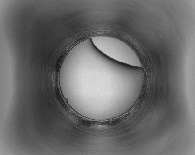 X0000116420498200912081203