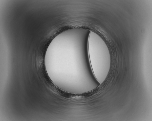 X0000116420499200912081203