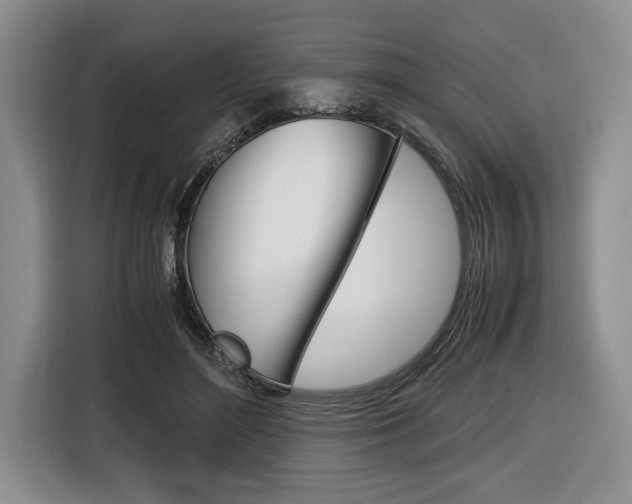 X0000116420500200912081203