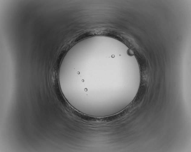 X0000116420503200912081203