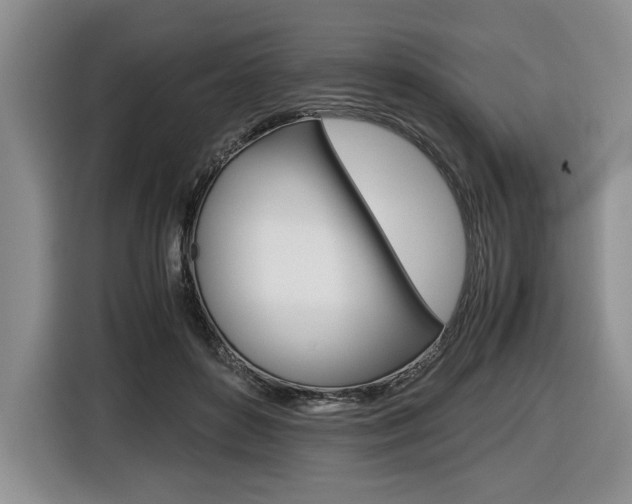 X0000116420504200912081203