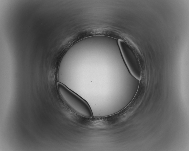 X0000116420505200912081203