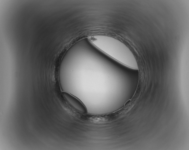 X0000116420512200912081202