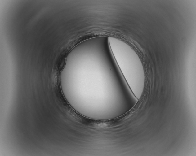 X0000116420513200912081202