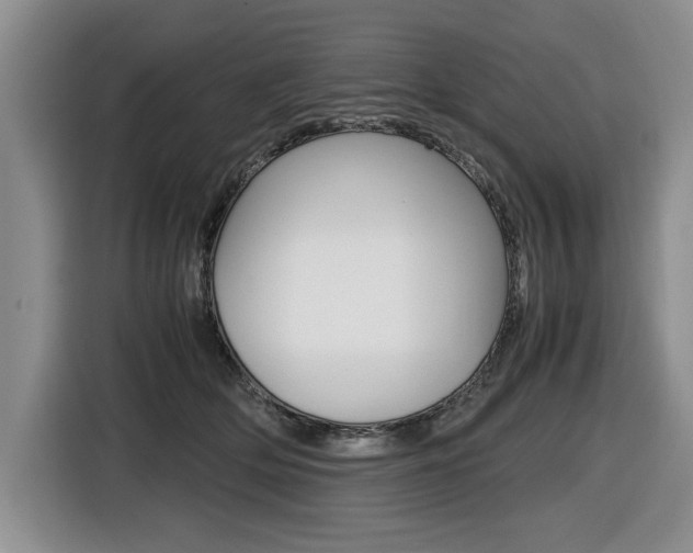 X0000116420514200912081202