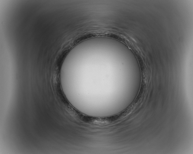 X0000116420515200912081202