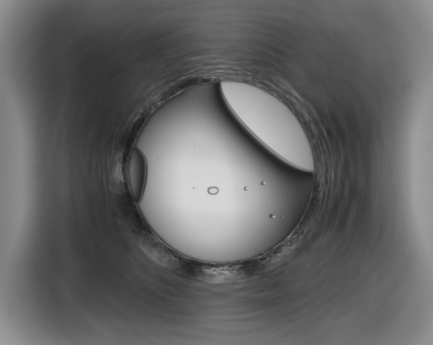 X0000116420516200912081202