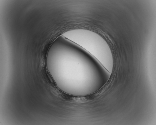 X0000116420517200912081202