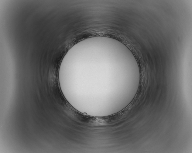 X0000116420518200912081202
