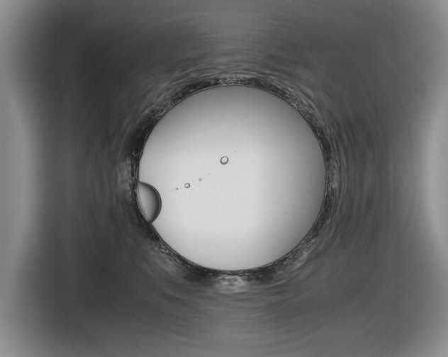 X0000116420519200912081202